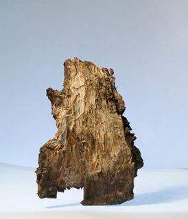 bark 11x6,5