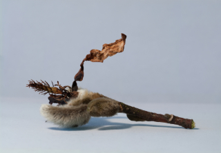 twig leaf catkin 5,5x3