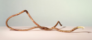 twig 15x5