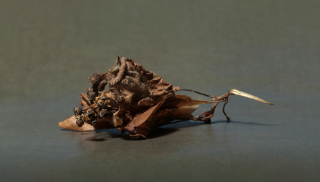 leaves 8x3