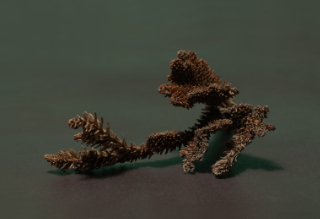 branch 7x3,5