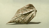 leaf 8x5,5|50x25@2024x1158